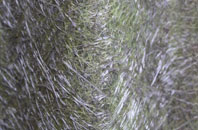 Pont Y Blew fibreglass roof work